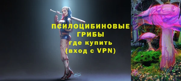 твердый Костерёво