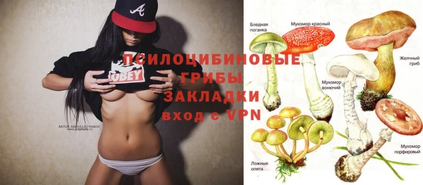 твердый Костерёво